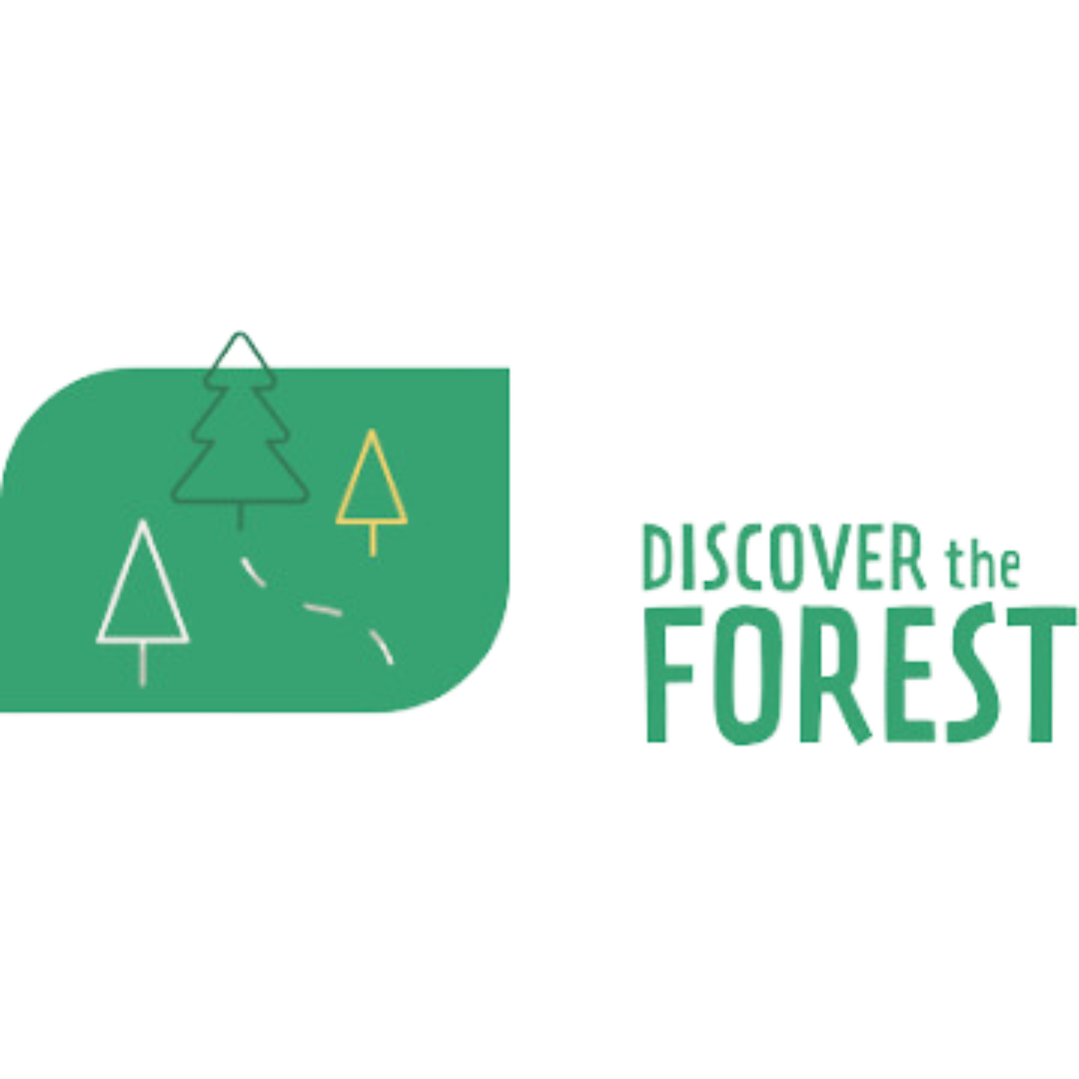 Discover the Forest